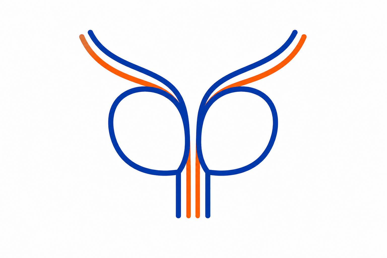 Prostate Surgery